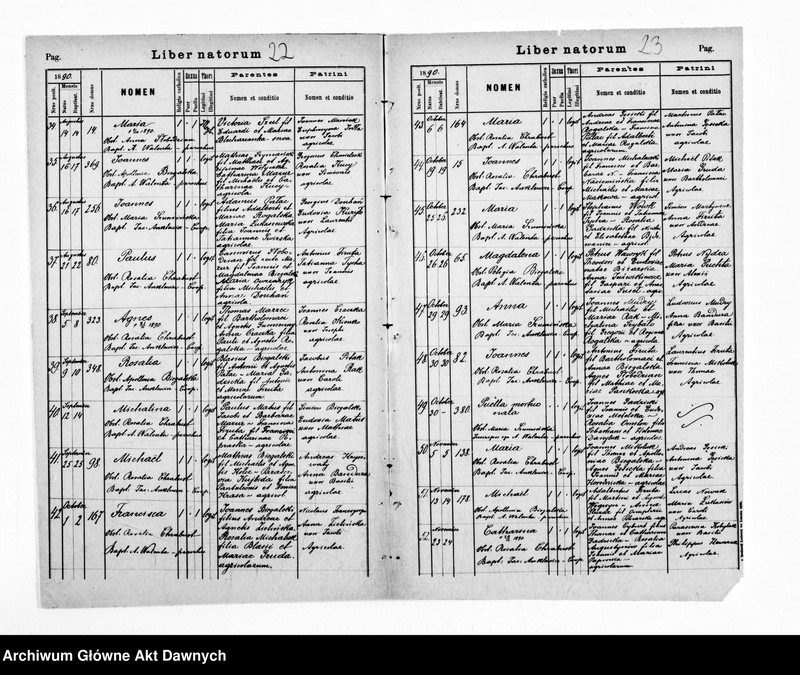 image.from.unit.number "Parafia: Grzymałów. Dekanat: Skałat. Kopie z ksiąg metrykalnych ur., śl., zg. dla całej parafii (miasto Grzymałów i wsie)."
