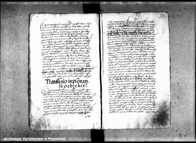 Obraz 15 z jednostki "Inscriptiones, relationes [inducta]"