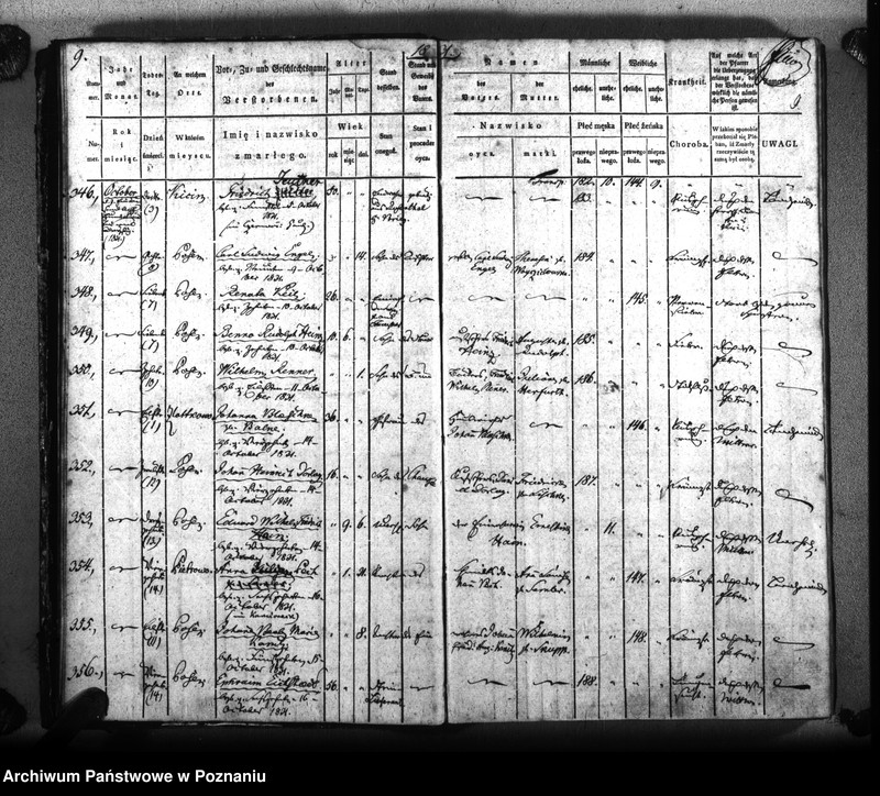 Obraz 12 z jednostki "Sterbenbuch"