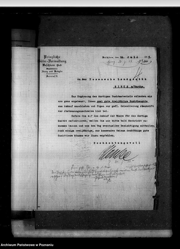 Obraz 8 z jednostki "Sprawy stadnin stadniny - ogólne zarządu stadnin"