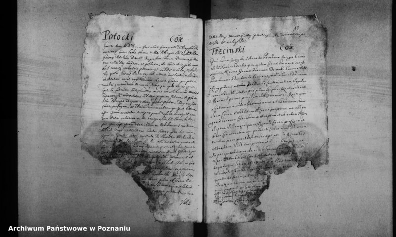 Obraz 13 z jednostki "Decreta officii [inducta]"