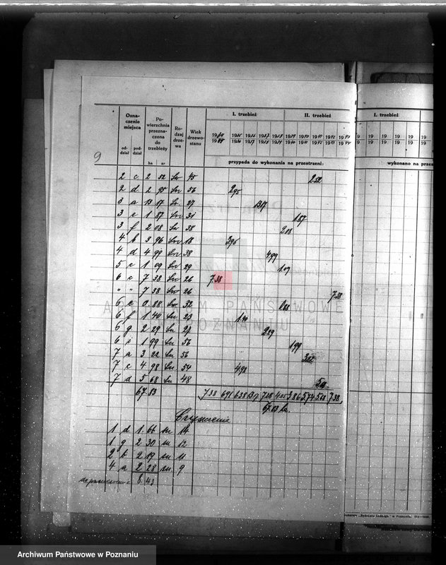 Obraz 13 z jednostki "Plan urządzenia gospodarstwa leśnego majątku Chlewiska w powiecie szamotulskim"