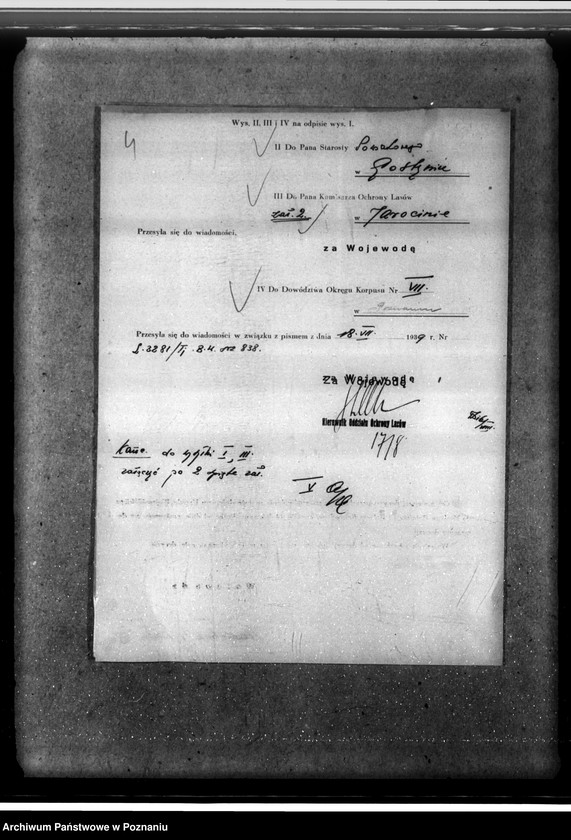 Obraz 8 z jednostki "Majętność leśna Smolice w powiecie gostyńskim"