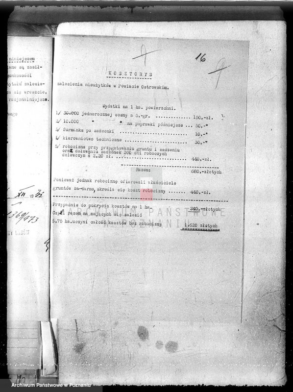 image.from.unit.number "Zalesienie nieużytków w powiecie ostrowskim"