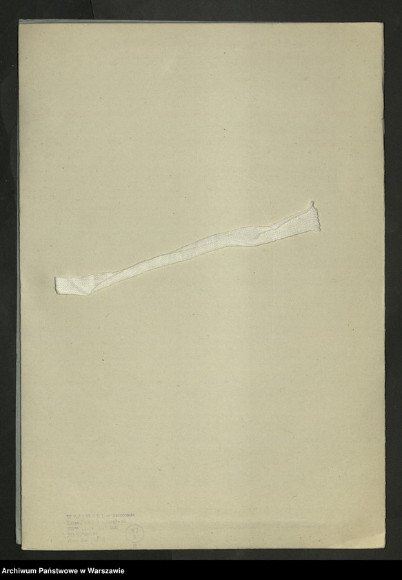 image.from.unit.number "Anczyc Ludwik Władysław - pisarz"