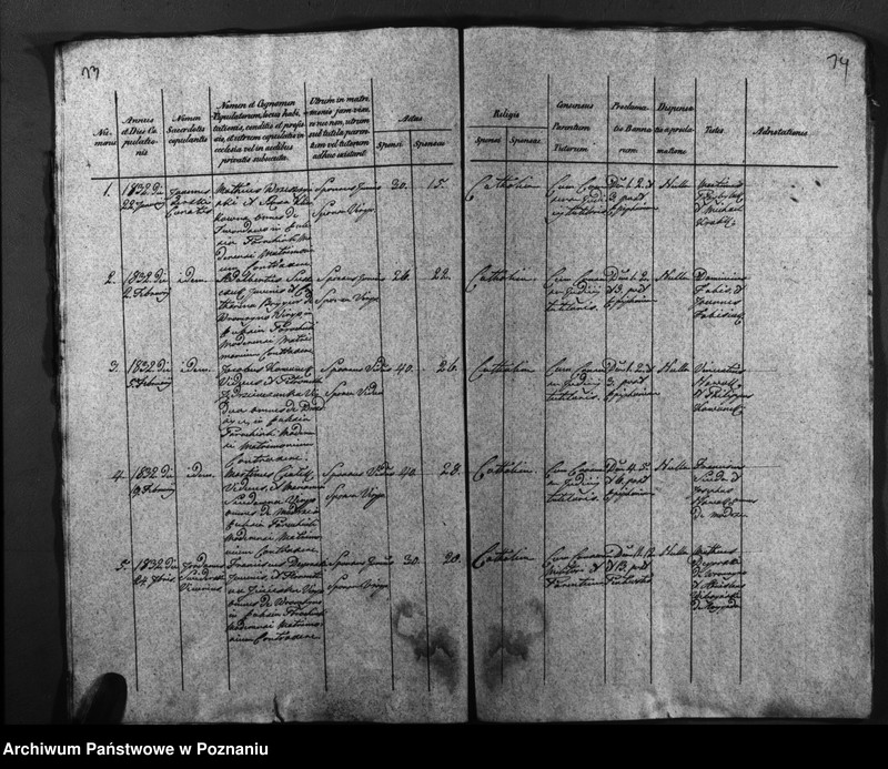 image.from.unit.number "Duplicatus baptisatorum, copulatorum, mortuorum"