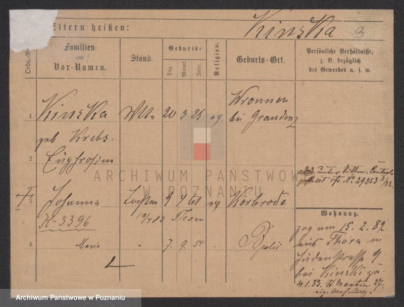 Obraz 3 z jednostki "Kinski - Kirstok"