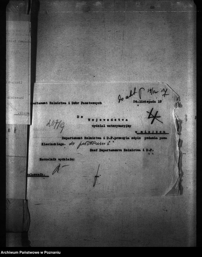 Obraz 11 z jednostki "Okólniki"