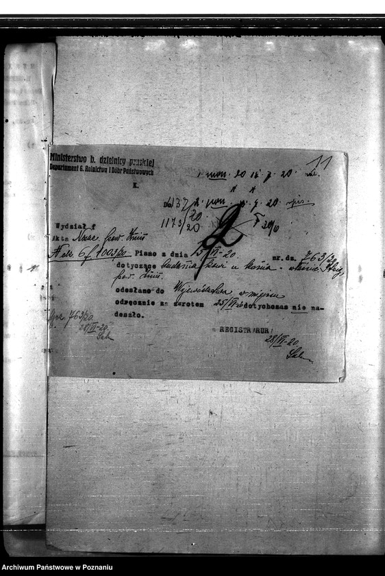 Obraz 15 z jednostki "Nosacizna - Żnin"