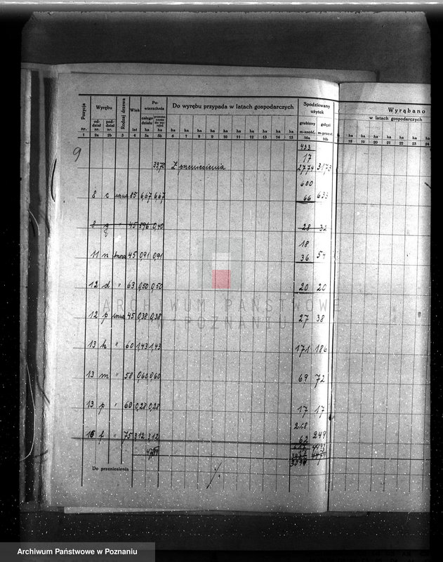 image.from.unit.number "/Szczegółowy plan zalesień i cięć lasu dla majętności Rudki powiat szamotulski 1929-1939"