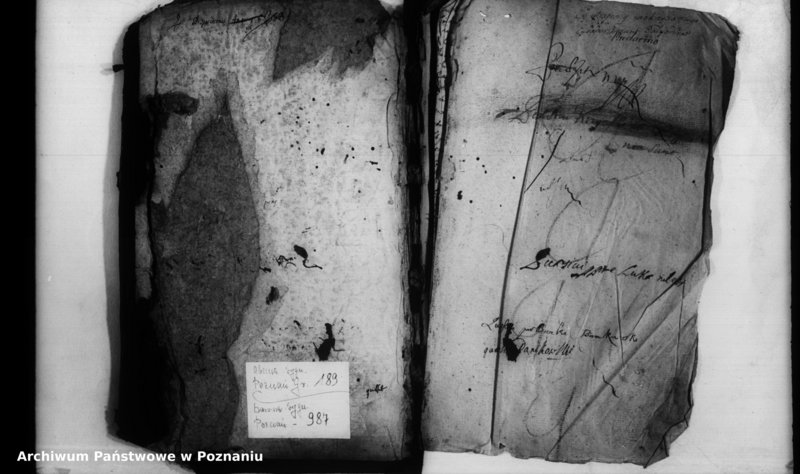 Obraz 4 z jednostki "Inscriptiones [inducta]"