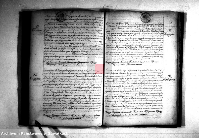 Obraz 15 z jednostki "Kniga nazyvaemyja Duplikat dlja vpisyvanija Aktov o roždenii brakosočetanij i smerti Pržerosl