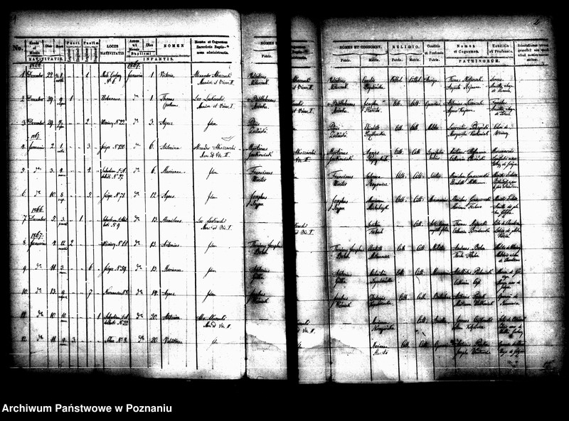 Obraz 3 z jednostki "Księga urodzin"