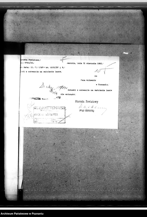 Obraz 15 z jednostki "Zalesienie nieużytków w powiecie jarocińskim"