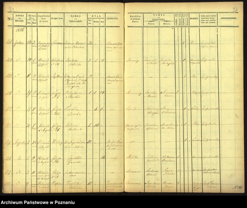 Obraz 17 z jednostki "Księga zgonów"