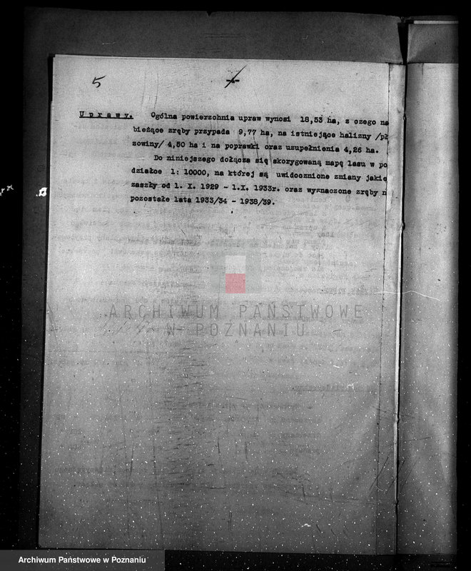 Obraz 9 z jednostki "Program urządzenia gospodarstwa leśnego dla lasu majętności Kobylepole powiat poznański 1933/34-1938/39"
