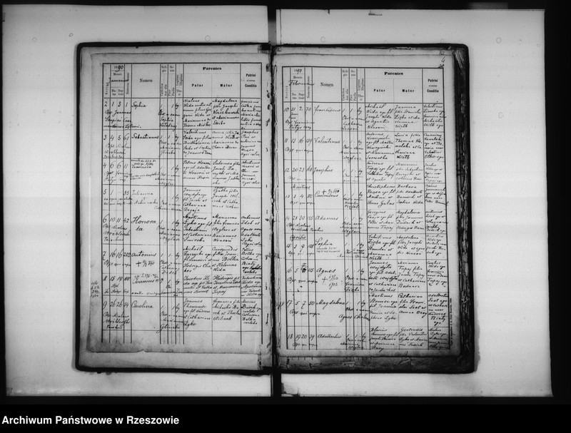 Obraz 6 z jednostki "Księga urodzeń - Łowisko"