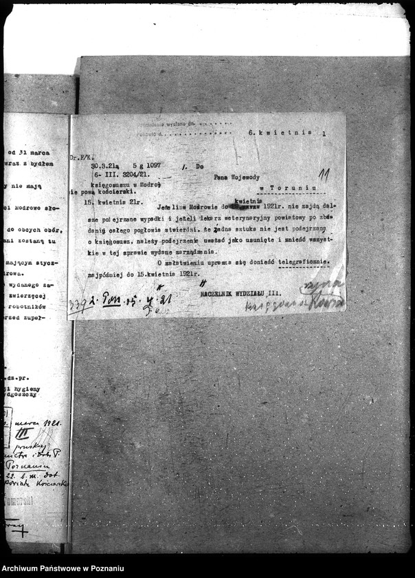 Obraz 15 z jednostki "Księgosusz - Kościerzyna"