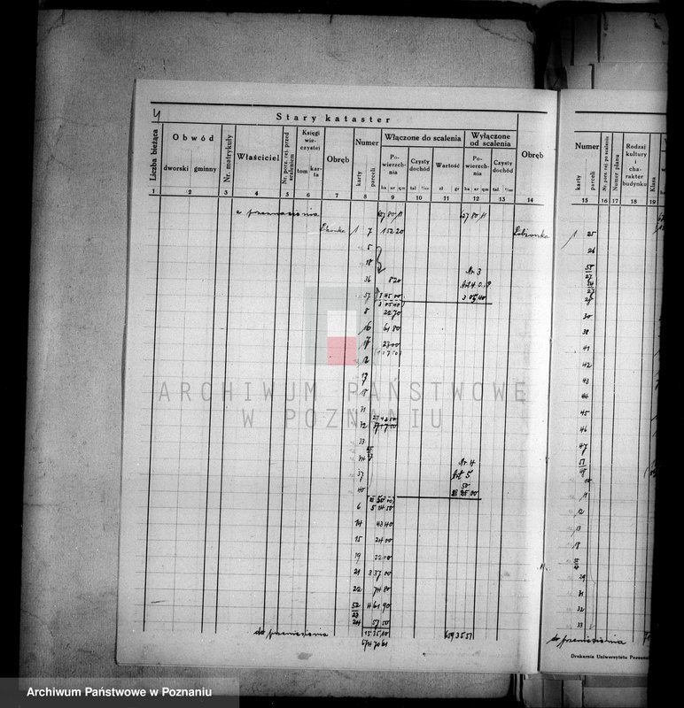 Obraz 8 z jednostki "Ogólne zestawienie powierzchni majątku Łobżenice powiatu wyrzyskiego"