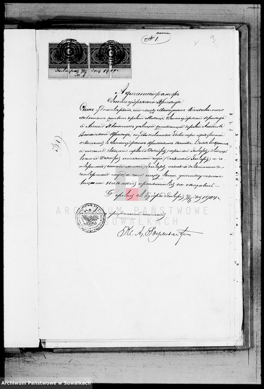 image.from.unit.number "Dokumenty k Duplikatu Brakosočetavšichsja v 1904 godu Vejsejakogo R. Katoličeskogo Prichoda"