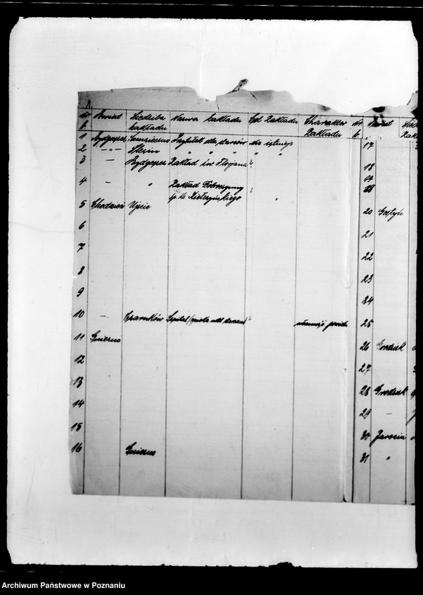 Obraz 5 z jednostki "/Nadzór i kontrola nad działalnością instytucji opiekuńczych/"