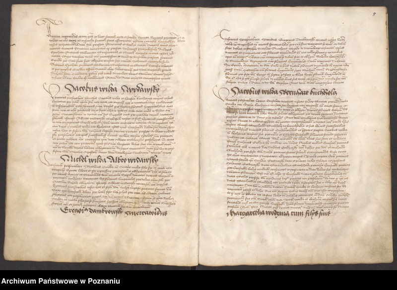 Obraz 9 z jednostki "Acta consularia civitatis Posnaniensis"