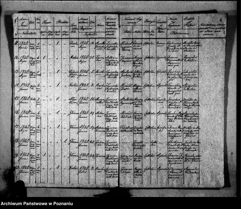 Obraz 7 z jednostki "Duplikat libri baptisatorum, copulatorum, mortuorum"