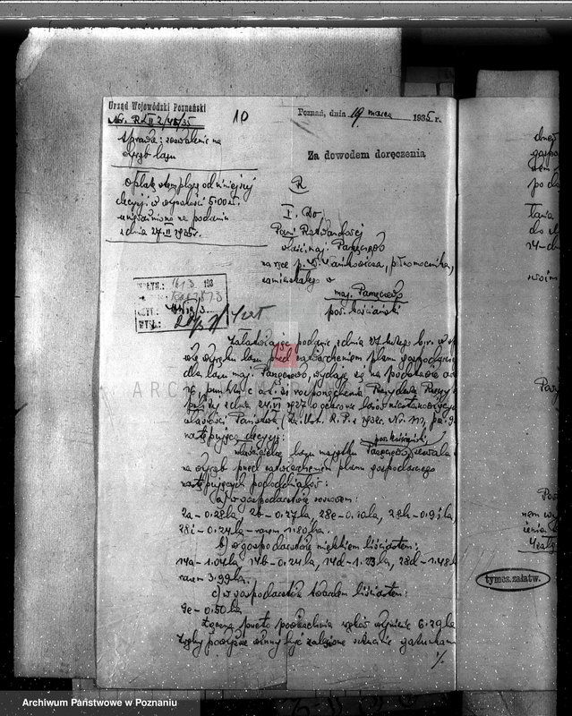 Obraz 14 z jednostki "Majętność leśna w Parzęcinie powiat kościański"