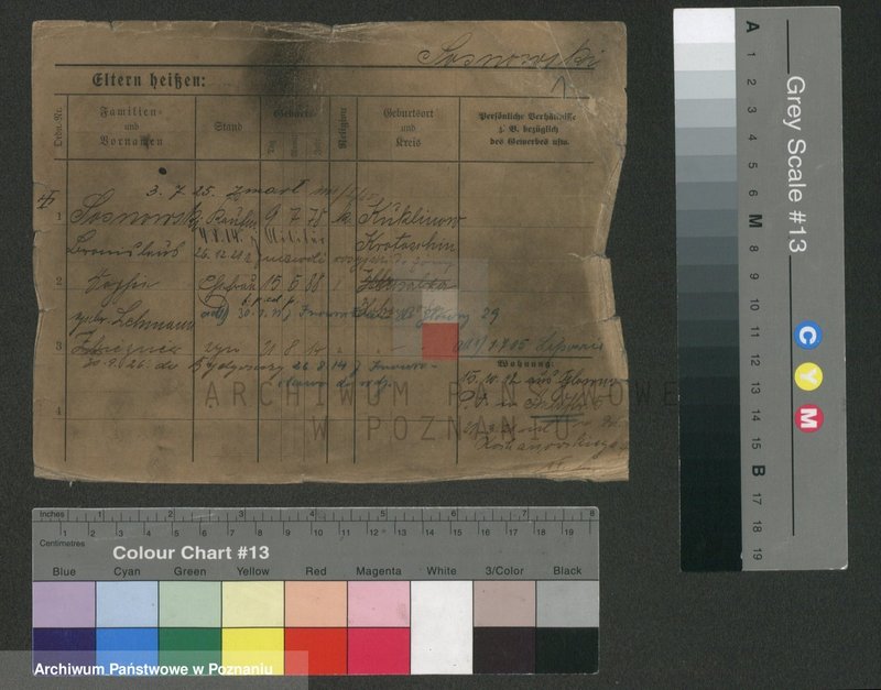 Obraz 4 z jednostki "Sosnowski - Sparr"