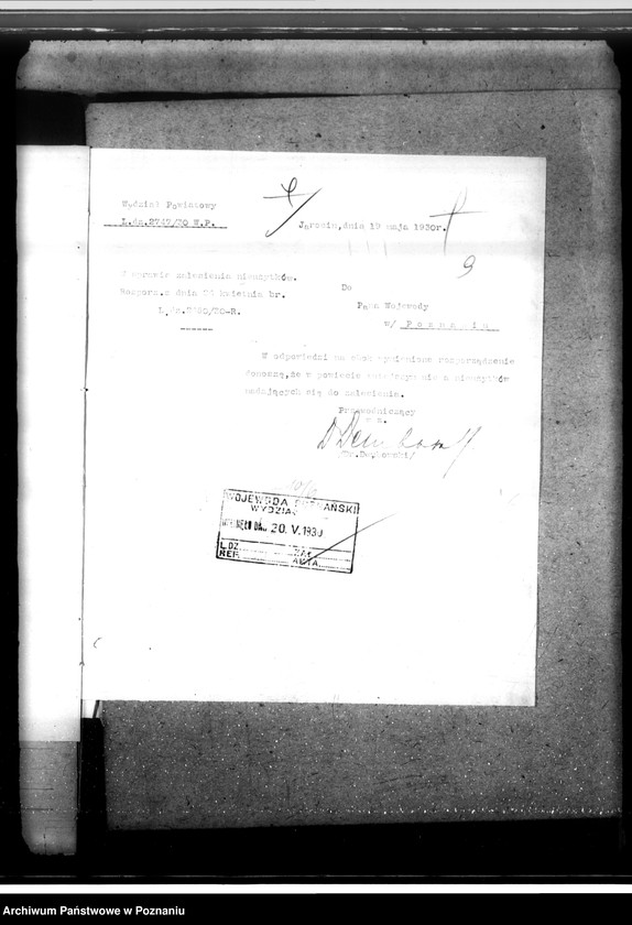 Obraz 14 z jednostki "Zalesienie nieużytków w powiecie jarocińskim"