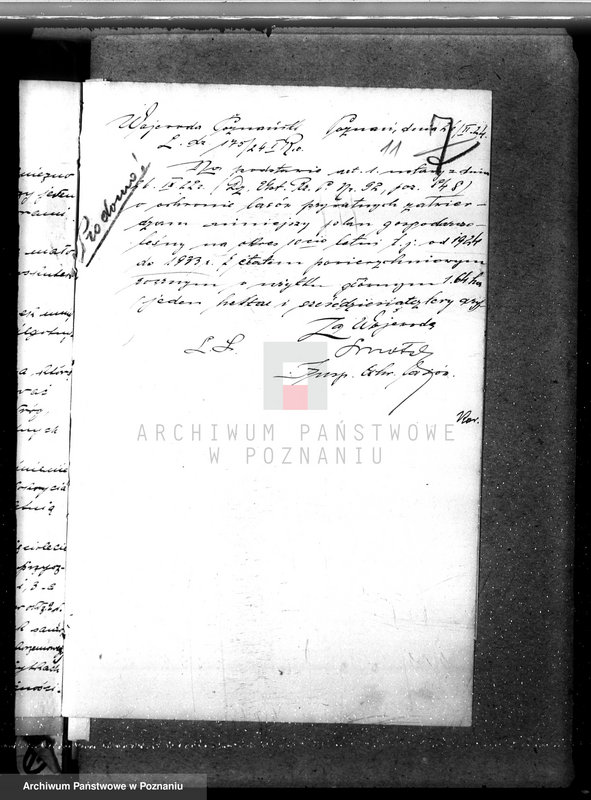 Obraz 15 z jednostki "Nadzór nad gospodarką w lasach majątku Dziadkowo powiecie gnieźnieńskim"