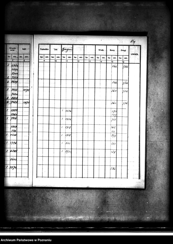 Obraz 19 z jednostki "Rejestr pomiarowy majątku Kaliska powiatu konińskiego"