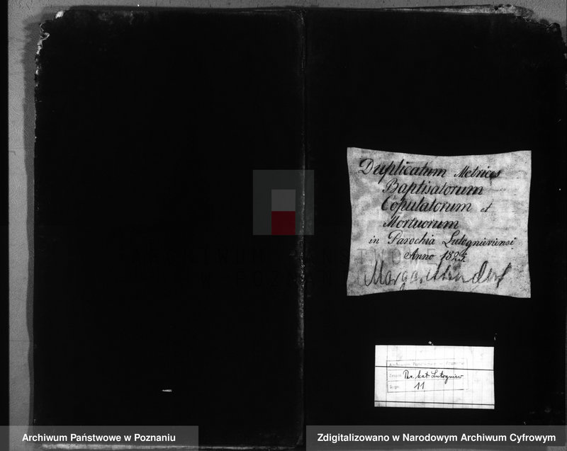 image.from.unit.number "Duplicatum baptisatorum, copulatorum, mortuorum"