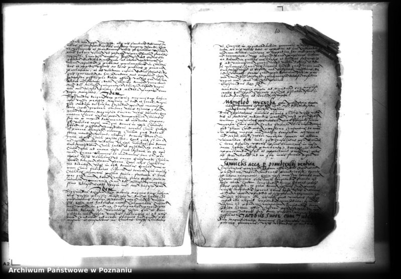 Obraz 10 z jednostki "Lib. civium, inscriptiones, relationes, decreta [inducta]"