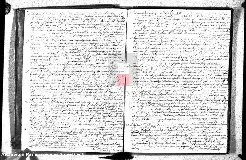 image.from.unit.number "Księga duplikat urodzonych, zaślubionych y umarłych parafii wigierskiey z roku 1830"