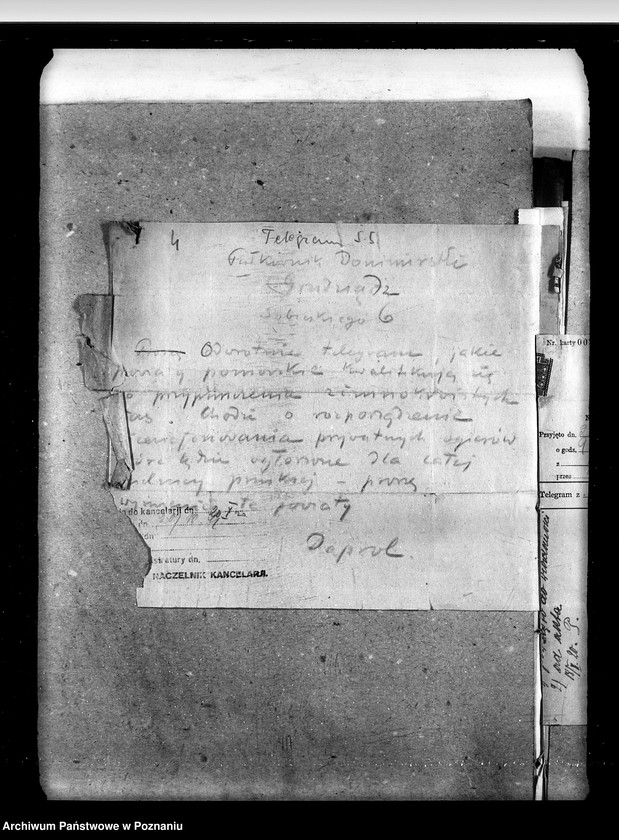 image.from.unit.number "Sprawy stadnin licencjonowanie ogierów prywatnych"