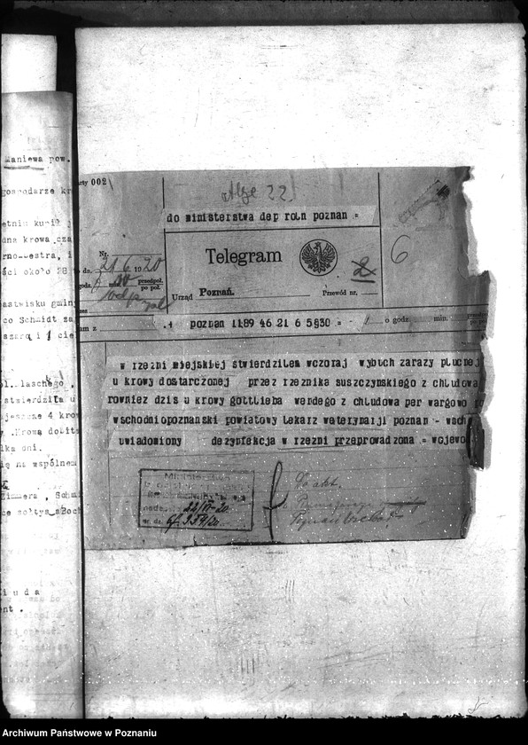 Obraz 10 z jednostki "Zaraza płucna - Poznań-Wschód"