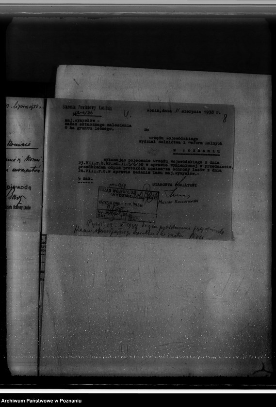 Obraz 12 z jednostki "Gmina Wymysłów powiat koniński /nadzór nad gospodarką leśną/"