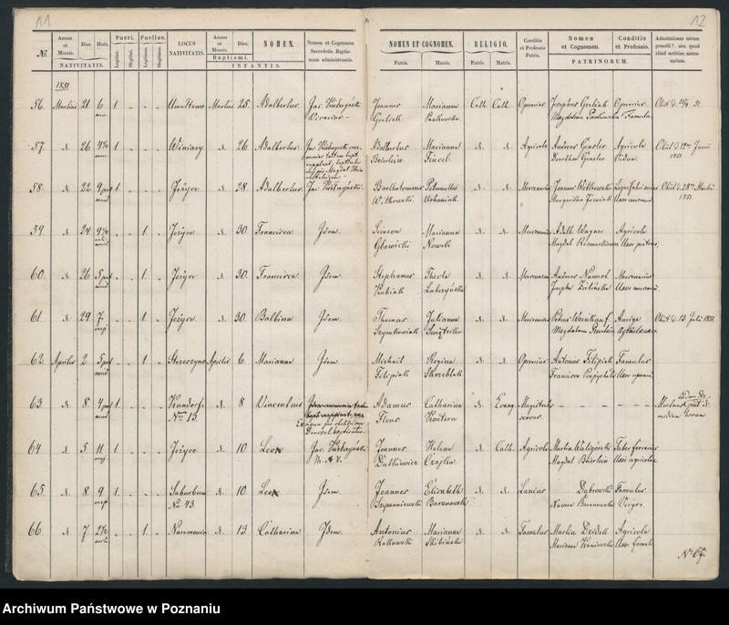 Obraz 8 z jednostki "Księga urodzeń"