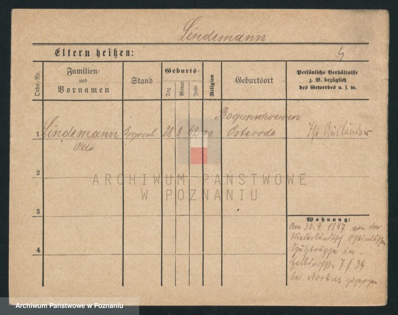 Obraz 4 z jednostki "Limierz - Lindow"