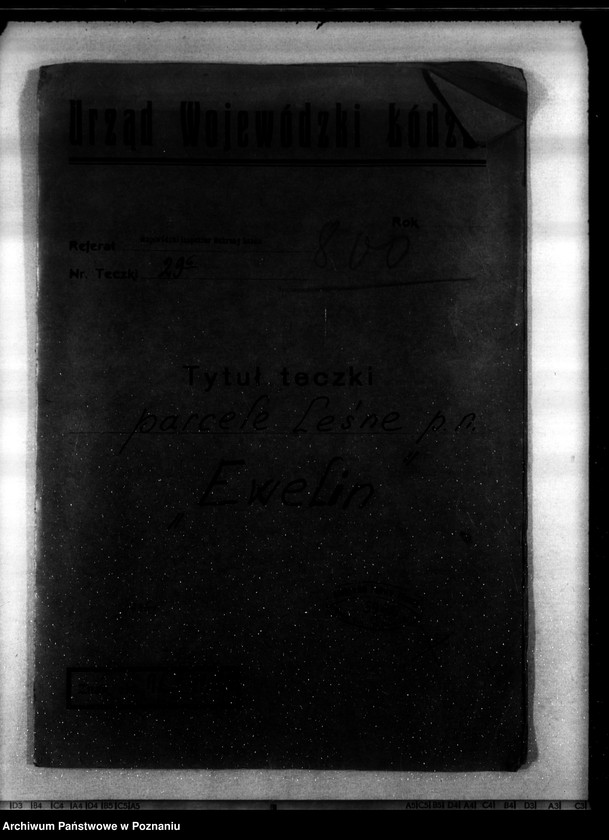 Obraz 4 z jednostki "Parcele leśne p.n.,,Ewelin" gmina Niewiesz powiat turecki"