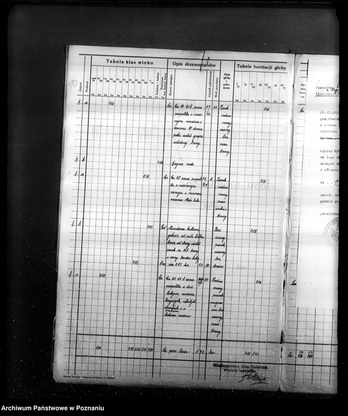 Obraz 13 z jednostki "Program urządzenia gospodarstwa leśnego lasu St. A i M Kaczmarków w gminie Gołuski powiat poznański 1930-1940"