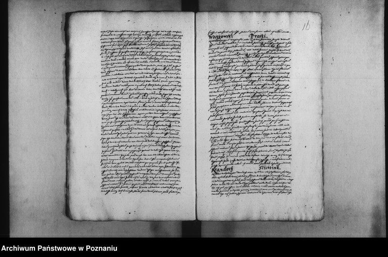 Obraz 19 z jednostki "Decreta [inducta]"