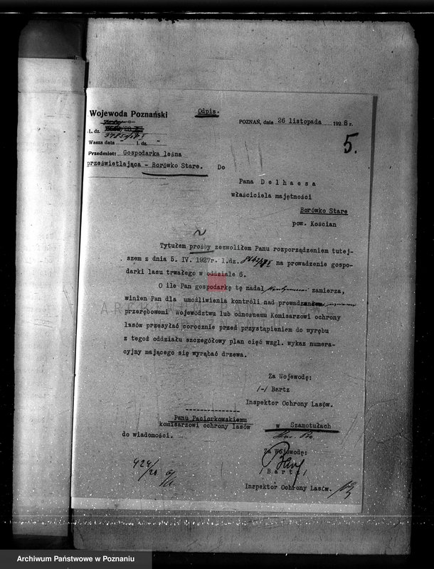 Obraz 9 z jednostki "Majętność Borówko Stare /nadzór nad gospodarką leśną/"