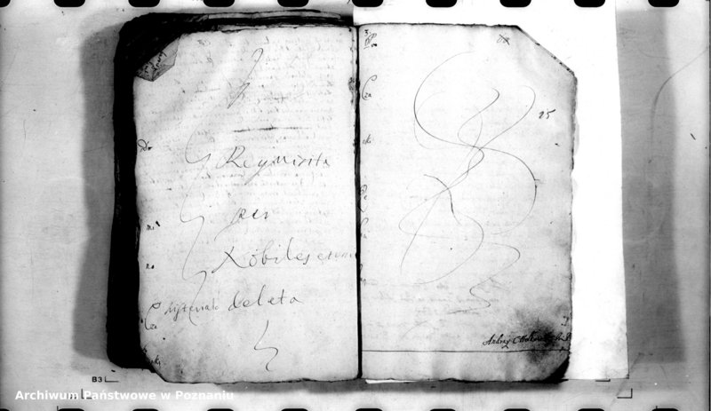 Obraz 19 z jednostki "Relationes [protocollon]"