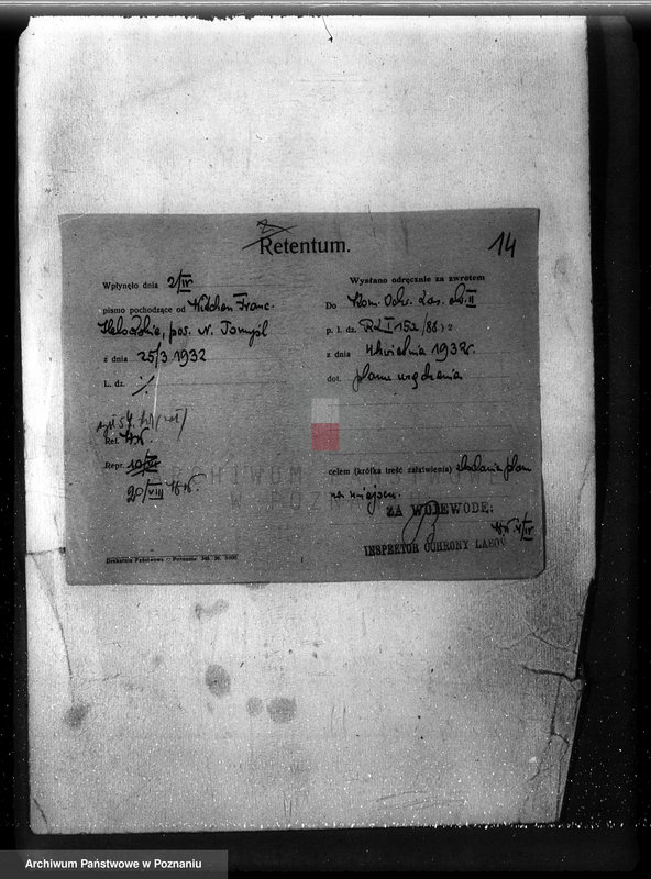 Obraz 19 z jednostki "/Nadzór nad gospodarką w lasach majątku Lubień-Helowskie w powiecie nowotomyskim"