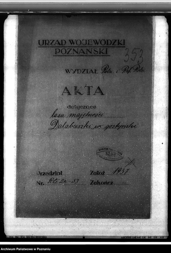 Obraz 4 z jednostki "Las majętności Dalabuszki powiat gostyński"