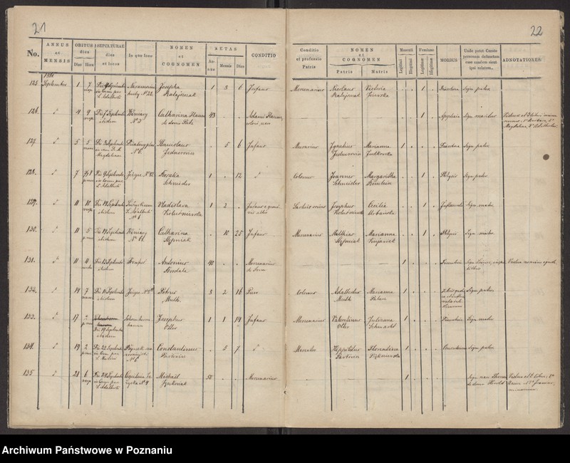 Obraz 13 z jednostki "Księga zgonów"