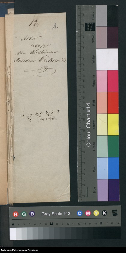 Obraz 4 z jednostki "A. betr. Miecislaus Dzikowski, Literat aus Dresden"