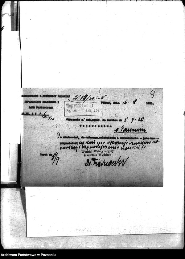 Obraz 12 z jednostki "Nosacizna - Witkowo"